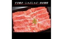 幻の相州黒毛和牛肩ロース(1.2kg)【相州牛 相州和牛 肩肉 黒毛和牛 相州黒毛和牛 すきやき しゃぶしゃぶ 炒め物用 神奈川県 小田原市 】