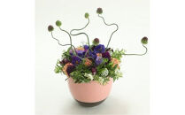 季節のアレンジメント Ｓサイズ