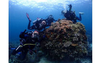 小田原ダイビングスクール 共通クーポン券 225,000円分