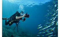 小田原ダイビングスクール共通クーポン券 75,000円分