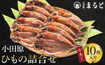 小田原ひもの詰合せ　SA30【惣菜 魚 干物 ひもの お取り寄せ 御中元 お中元 お歳暮 父の日 母の日 贈り物 家庭用 自宅用 贈答品 贈答用 ギフト 定番 朝食 朝ごはん 国産 中あじ  神奈川県 小田原市 】