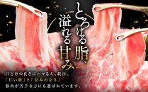 【ふるさと納税限定】和豚もちぶたしゃぶしゃぶセット&nbsp;合計1.2kg（ロース&nbsp;バラ&nbsp;肩ロース）ふるさと納税&nbsp;【小分け&nbsp;豚肉&nbsp;ポーク&nbsp;豚しゃぶ&nbsp;しゃぶしゃぶ肉&nbsp;冷凍&nbsp;和豚もちぶた&nbsp;こだわりの豚肉&nbsp;おいしい豚&nbsp;贈り物&nbsp;贈答品&nbsp;ご褒美&nbsp;神奈川県&nbsp;小田原市&nbsp;】