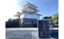 小田原城御城印・御城印帳セット【小田原 小田原城 御城印 三鱗 家紋 北条氏 摩利支天 小田原城オリジナル 蛇腹式製本 来城記念 登城記念 記念品 大久保氏　朱印 虎朱印 印判 シンプルデザイン 神奈川県 小田原市 】