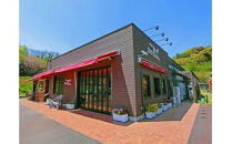 小田原城御城印・御城印帳・石垣山城御城印・北条五代武将印セット【小田原城 石垣山城 北条五代武将 武将 小田原御城印 武将印 5枚組 花押 朱印 古文書 小田原城天守閣ミュージアムショップ 神奈川県 小田原市 】