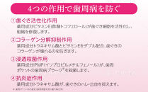 LION&nbsp;ライオンオーラルケアセット【ライオン&nbsp;歯磨き粉&nbsp;歯磨き&nbsp;歯みがき&nbsp;オーラルケア&nbsp;歯の健康&nbsp;お口の健康&nbsp;システマハグキプラス&nbsp;デンタルリンス&nbsp;ライオン小田原工場&nbsp;オーラルケアブランド&nbsp;ＮＯＮＩＯ&nbsp;神奈川県&nbsp;小田原市&nbsp;】