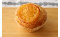 国産や安心安全な食材を大切にした定番人気＆季節限定のヴィーガンマフィンとスコーン詰め合わせ １２個セット 個包装 プラントベース マクロビ エシカルスイーツ【小田原ヴィーガンマフィン 神奈川県 小田原市 】