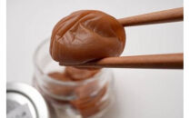 【樹上完熟】 小田原十郎梅の三年熟成梅干 限定手包み 5瓶入【ウメボシ うめぼし 梅干 梅 ウメ お家用 贈答用 贈り物 完熟 国産 手包み 大粒 神奈川県 小田原市 】