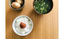 【樹上完熟】 小田原十郎梅の三年熟成梅干 限定手包み 5瓶入【ウメボシ うめぼし 梅干 梅 ウメ お家用 贈答用 贈り物 完熟 国産 手包み 大粒 神奈川県 小田原市 】