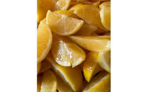 【手づくりあんこ】湘南ゴールドあん500g×1、黒ごまあん500g×1、栗あん500g×1、紫いもあん500g×1【&nbsp;神奈川県&nbsp;小田原市&nbsp;】