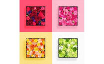 季節のお花でボックスアレンジメント（16cm×16cm）【 神奈川県 小田原市 】