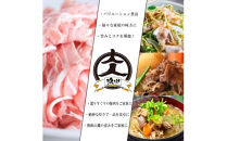 箱根山麓豚　モモ・ウデ切り落とし２K盛り(500ｇ×４パック)【 箱根山麓豚 切り落とし 神奈川県 小田原市 】