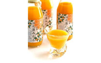 ギフトセット１８０ｍｌ１０本入り 小田原産江之浦みかん１００％ストレートジュース１８０ml１０本