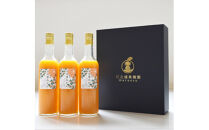 ギフトセット５００ml３本入り 小田原産江之浦みかん１００％ストレートジュース５００ml３本