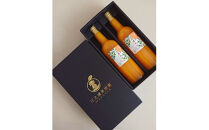 ギフトセット５００ml２本入り 小田原産江之浦みかん１００％ストレートジュース５００ml２本