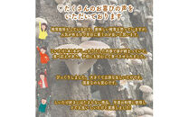 ご飯のお供に贅沢セットA。おかず４種レギュラーセット【家庭用 自宅用 贈答品 贈答用 ギフト お取り寄せ お中元 お歳暮 贈り物 お祝い 神奈川県 小田原市 】