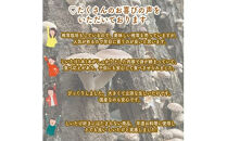 ご飯のお供に贅沢セットB。おかず４種レギュラーセット【家庭用 自宅用 贈答品 贈答用 ギフト お取り寄せ お中元 お歳暮 贈り物 お祝い 神奈川県 小田原市 】