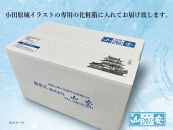 【 小田原 山安 】 おまかせ干物セット 約3kg 【 縞ほっけ開き干し 金目鯛開き干し 真あじ開き干し 赤魚開き干し さば半身干し かます開き干し 干物 大容量 詰合せ 神奈川県 小田原市 】