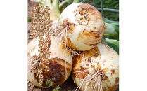 峯セット　しいたけとたまねぎのなんでもソース≪レギュラーサイズ≫220ｍｌ×３本【&nbsp;家庭用&nbsp;自宅用&nbsp;贈答品&nbsp;贈答用&nbsp;ギフト&nbsp;お取り寄せ&nbsp;お中元&nbsp;お歳暮&nbsp;贈り物&nbsp;お祝い&nbsp;神奈川県&nbsp;小田原市&nbsp;】