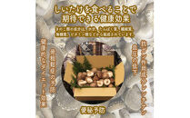 椎茸加工品セット（加工品４種セット）【&nbsp;家庭用&nbsp;自宅用&nbsp;贈答品&nbsp;贈答用&nbsp;ギフト&nbsp;お取り寄せ&nbsp;お中元&nbsp;お歳暮&nbsp;贈り物&nbsp;お祝い&nbsp;神奈川県&nbsp;小田原市&nbsp;】