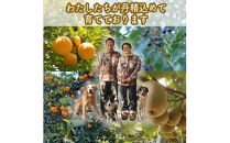 峯フルーツセット 計6種類 手づくりジャムソース4種 ドライフルーツ2種 【 家庭用 自宅用 贈答品 贈答用 ギフト お取り寄せ お中元 お歳暮 贈り物 お祝い 神奈川県 小田原市 】