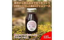 手づくりジャムソース 4本セット 手作りみかん キウイ あまなつ ブルーベリー 125ml 詰め合わせ ギフト 【 家庭用 自宅用 贈答品 贈答用 ギフト お取り寄せ お中元 お歳暮 贈り物 お祝い 神奈川県 小田原市 】