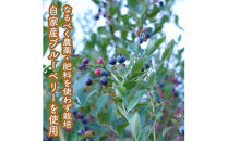 手づくりジャムソース 4本セット 手作りみかん キウイ あまなつ ブルーベリー 125ml 詰め合わせ ギフト 【 家庭用 自宅用 贈答品 贈答用 ギフト お取り寄せ お中元 お歳暮 贈り物 お祝い 神奈川県 小田原市 】