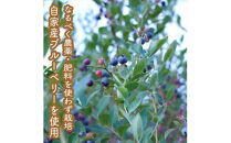 手づくりジャムソース 8本セット 手作りみかん キウイ あまなつ ブルーベリー 125ml 詰め合わせ ギフト 【 家庭用 自宅用 贈答品 贈答用 ギフト お取り寄せ お中元 お歳暮 贈り物 お祝い 神奈川県 小田原市 】