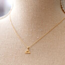 小田原北條　三つ鱗ネックレス（チェーン付き）【&nbsp;ジュエリー&nbsp;アクセサリー&nbsp;神奈川県&nbsp;小田原市&nbsp;】