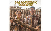 しいたけだけのピクルス 3個セット【 家庭用 自宅用 贈答品 贈答用 ギフト お取り寄せ お中元 お歳暮 贈り物 お祝い 神奈川県 小田原市 】