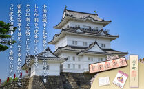 【小田原北条氏ゆかりの虎朱印の形をした最中&nbsp;10個セット】小田原の老舗菓子店「正栄堂」の代表銘菓神奈川県指定銘菓登録商品。【&nbsp;和菓子&nbsp;神奈川県&nbsp;小田原市&nbsp;】