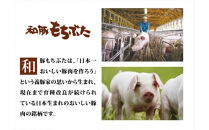 和豚もちぶた使用ハム・ソーセージ詰め合わせ【 惣菜 おかず 家庭用 自宅用 贈答品 贈答用 ギフト お取り寄せ お中元 お歳暮 贈り物 神奈川県 小田原市 】