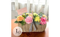 《母の日限定》カーネーションのバスケットアレンジメント(Lサイズ)＜出荷時期：2026年5月6日～5月9日＞