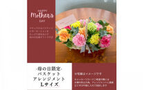 《母の日限定》カーネーションのバスケットアレンジメント(Lサイズ)＜出荷時期：2026年5月6日～5月9日＞