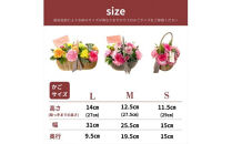 《母の日限定》カーネーションのブーケ＜出荷時期：2026年5月6日～5月9日＞