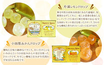 【小田原の柑橘果汁を使ったドロップ3種類セット】口に入れるとフルーツの香りが広がるドロップ。【&nbsp;ドロップ&nbsp;神奈川県&nbsp;小田原市&nbsp;】