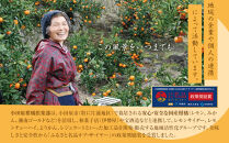 【小田原のフルーツ果汁を使ったドロップ3種類×2個セット】口に入れるとフルーツの香りが広がるドロップ。【&nbsp;ドロップ&nbsp;神奈川県&nbsp;小田原市&nbsp;】