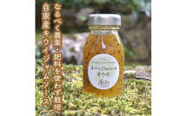 スイスで加工品を学んだ農家が作った手づくりジャムソース 16本セット 手作りみかん キウイ あまなつ ブルーベリー他 125ml 詰め合わせ ギフト【 家庭用 自宅用 贈答品 贈答用 ギフト お取り寄せ お中元 お歳暮 贈り物 お祝い 神奈川県 小田原市 】