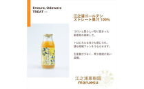 小田原産江之浦みかんジュース５種のみくらべ１０本セット&nbsp;うんしゅう・しらぬい・ゴールデン・なつみ・バレンシアオレンジ１００％ストレートジュース１８０ml各２本合計１０本