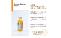 小田原産江之浦みかんジュース５種のみくらべ2０本セット&nbsp;うんしゅう・しらぬい・ゴールデン・なつみ・バレンシアオレンジ１００％ストレートジュース１８０ml各４本合計２０本