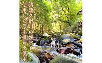 原木しいたけの&nbsp;濃いお出汁≪レギュラーサイズ≫12本セット【&nbsp;家庭用&nbsp;自宅用&nbsp;贈答品&nbsp;贈答用&nbsp;ギフト&nbsp;お取り寄せ&nbsp;お中元&nbsp;お歳暮&nbsp;贈り物&nbsp;お祝い&nbsp;神奈川県&nbsp;小田原市&nbsp;】