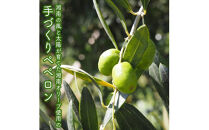 しいたけペペロン　6個セット【 家庭用 自宅用 贈答品 贈答用 ギフト お取り寄せ お中元 お歳暮 贈り物 お祝い 神奈川県 小田原市 】