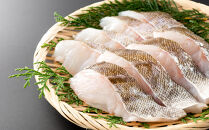 訳あり　真だら　切り落とし　600g(300g×2袋)　たら　切り身　海鮮　鍋　鱈