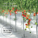 トマトジュース HANAYOSHINO 170ml×12本入