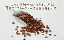 【dari K（ダリケー）】ザクザク食感のカカオニブチョコレートアイス(8個セット)［ 京都 チョコレート カカオを通して世界を変える 濃厚 チョコ アイス 人気 おすすめ お菓子 洋菓子 スイーツ ギフト プレゼント お取り寄せ 通販 送料無料 ふるさと納税 ］