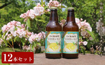 小田原レモンクラフトチューハイ　12本セット|&nbsp;チューハイ&nbsp;レモン&nbsp;お酒&nbsp;ドリンク&nbsp;飲み物&nbsp;飲み比べ&nbsp;ギフト&nbsp;プレゼント&nbsp;神奈川県&nbsp;小田原市