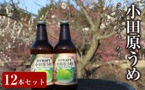 小田原うめクラフトチューハイ　12本セット|&nbsp;チューハイ&nbsp;梅&nbsp;お酒&nbsp;ドリンク&nbsp;飲み物&nbsp;飲み比べ&nbsp;ギフト&nbsp;プレゼント&nbsp;神奈川県&nbsp;小田原市