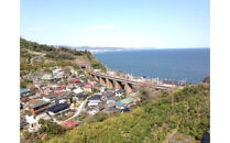 小田原の海を潜ろう！ガイド付きファンダイビング【2ビーチ】【石橋ダイビングセンター 小田原でダイビング Cカード保有者様向け 四季折々の水中景観 ファンダイビング 豊富な生物層 神奈川県 小田原市 】