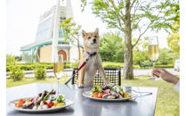 ブラッセリー「フローラ」ランチブッフェ招待券【ヒルトン&nbsp;ブッフェ　ブラッセリー「フローラ」&nbsp;1組2名様&nbsp;招待券&nbsp;食事&nbsp;肉&nbsp;魚&nbsp;野菜&nbsp;デザート&nbsp;プレゼント&nbsp;記念　旅行&nbsp;ヒルトン小田原&nbsp;ご褒美&nbsp;神奈川県&nbsp;小田原市&nbsp;】