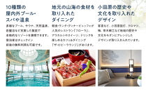 【自分へのご褒美に！】スパトリートメント60分★温泉またはプール利用券つき★【スパトリートメント60分 温泉またはプール利用券つき 温泉 プール 屋内プール 屋外プール サウナ バーデゾーン 天然温泉 神奈川県 小田原市 】