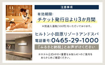 【自分へのご褒美に！】スパトリートメント60分★温泉またはプール利用券つき★【スパトリートメント60分 温泉またはプール利用券つき 温泉 プール 屋内プール 屋外プール サウナ バーデゾーン 天然温泉 神奈川県 小田原市 】